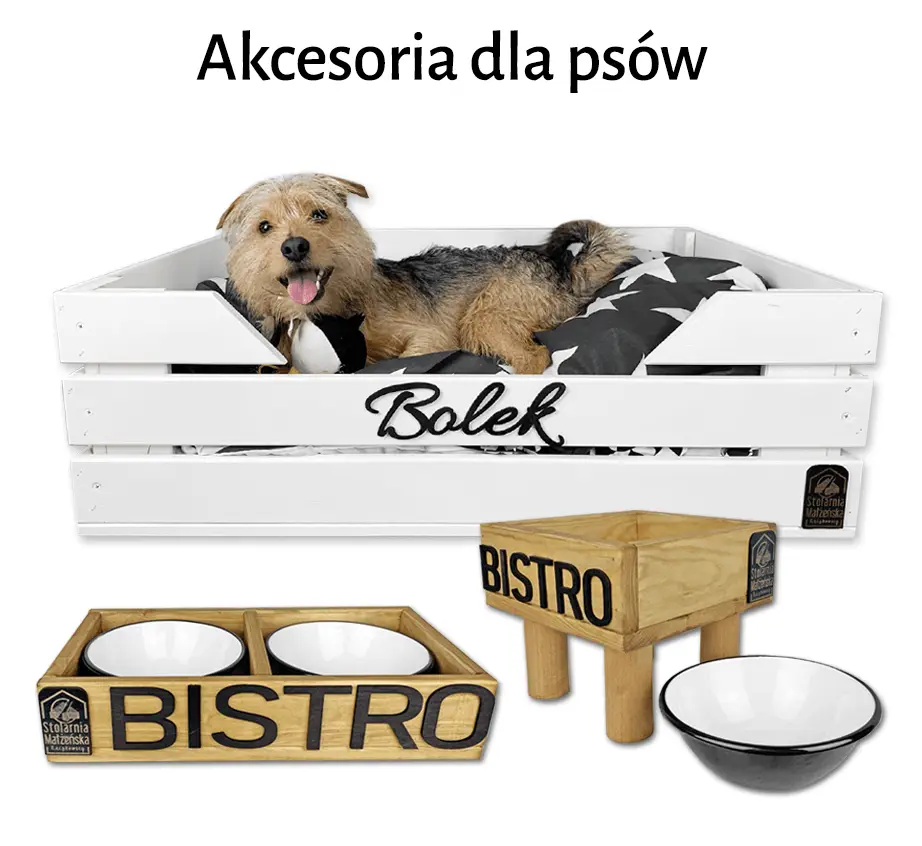 AKCESORIA DLA PSÓW